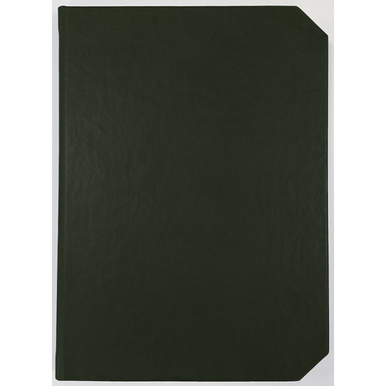 Agenda nedatata LINEA 2026