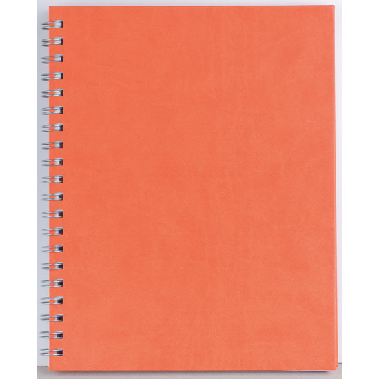 Agenda nedatata PREMIER 2026 - CV