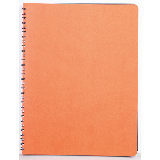 Agenda nedatata SIENA 2026