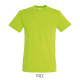 T-shirt REGENT Men - color