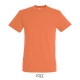 T-shirt REGENT Men - color
