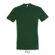 T-shirt REGENT Men - color