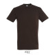 T-shirt REGENT Men - color