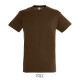 T-shirt REGENT Men - color