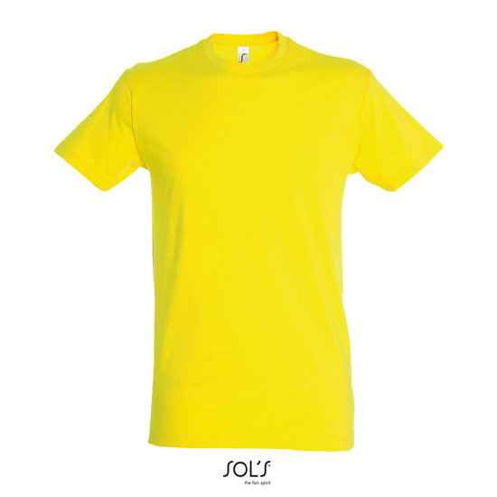 T-shirt REGENT Men - color