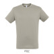 T-shirt REGENT Men - color