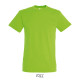 T-shirt REGENT Men - color