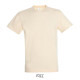 T-shirt REGENT Men - color