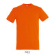 T-shirt REGENT Men - color
