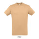 T-shirt REGENT Men - color