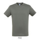 T-shirt REGENT Men - color